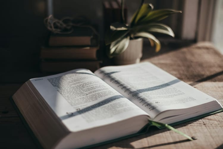 Bibliatanulmány: A szeretet vezéreljen