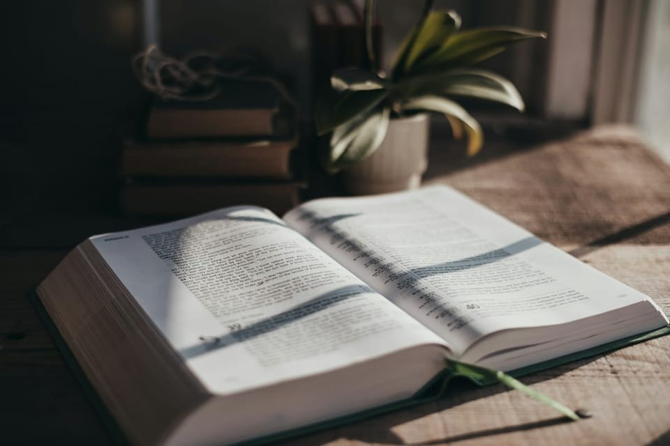 Bibliatanulmány: A szeretet vezéreljen